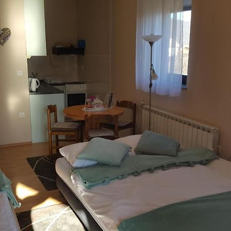 Studio Apartman Salopek Огулин Экстерьер фото